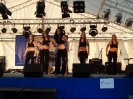 Madarasi Harmonikások Alapítvány Napja 2017.07.15._24