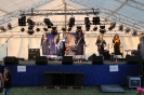 Madarasi Harmonikások Alapítvány Napja 2017.07.15._50