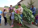 Májusfa állítás Madarasi Harmonikások Alapítvány 2017.04.30._5